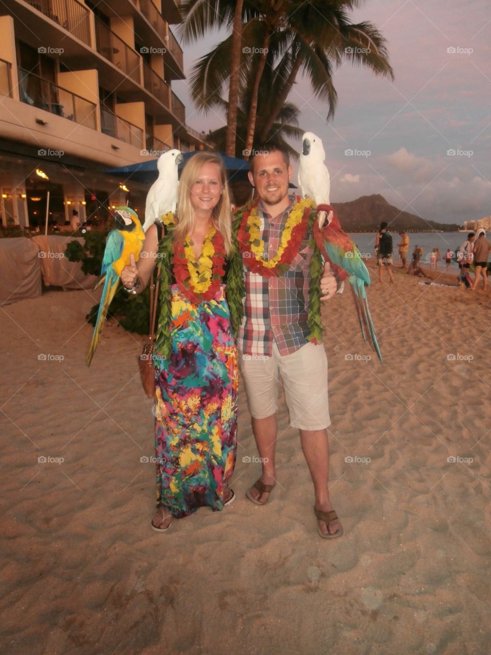 Full Hawaii!. Brightening the sunset with leis, parrots and a crazy dress!