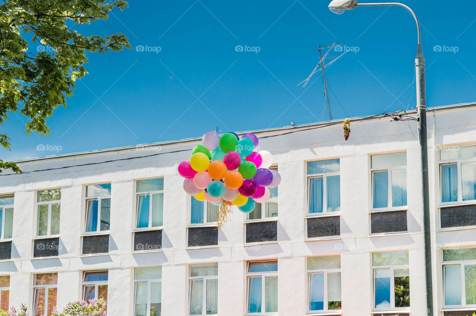 Bouquet of colorful baloons fly.