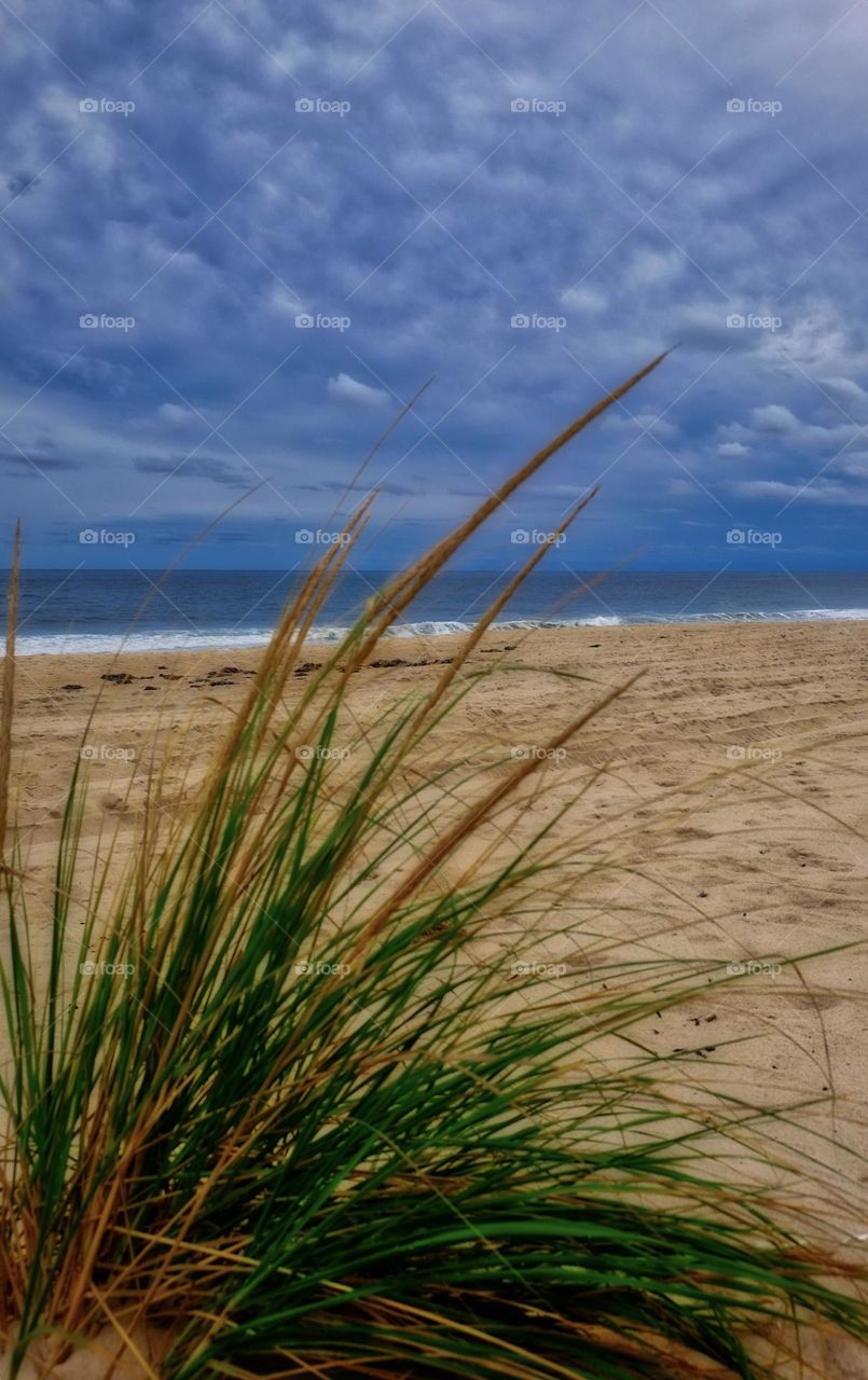 Seaside beach grass, looking through the grass to the beach, waves rolling in onto the beach, seaside relaxation 