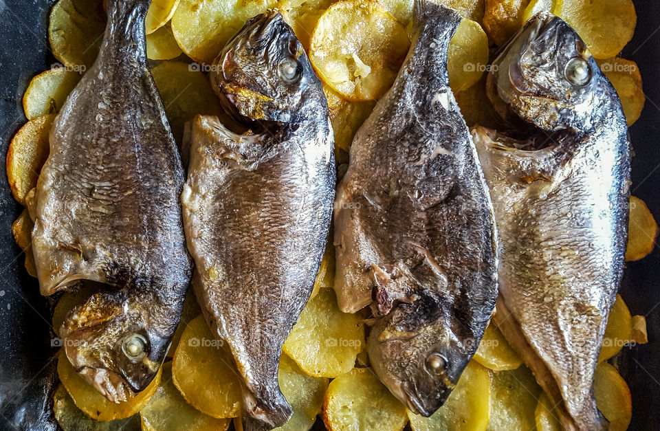 High angle view of fish dish