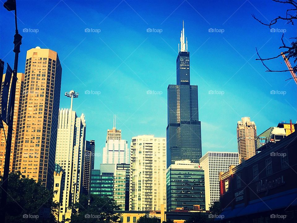 Willis Tower Chicago 