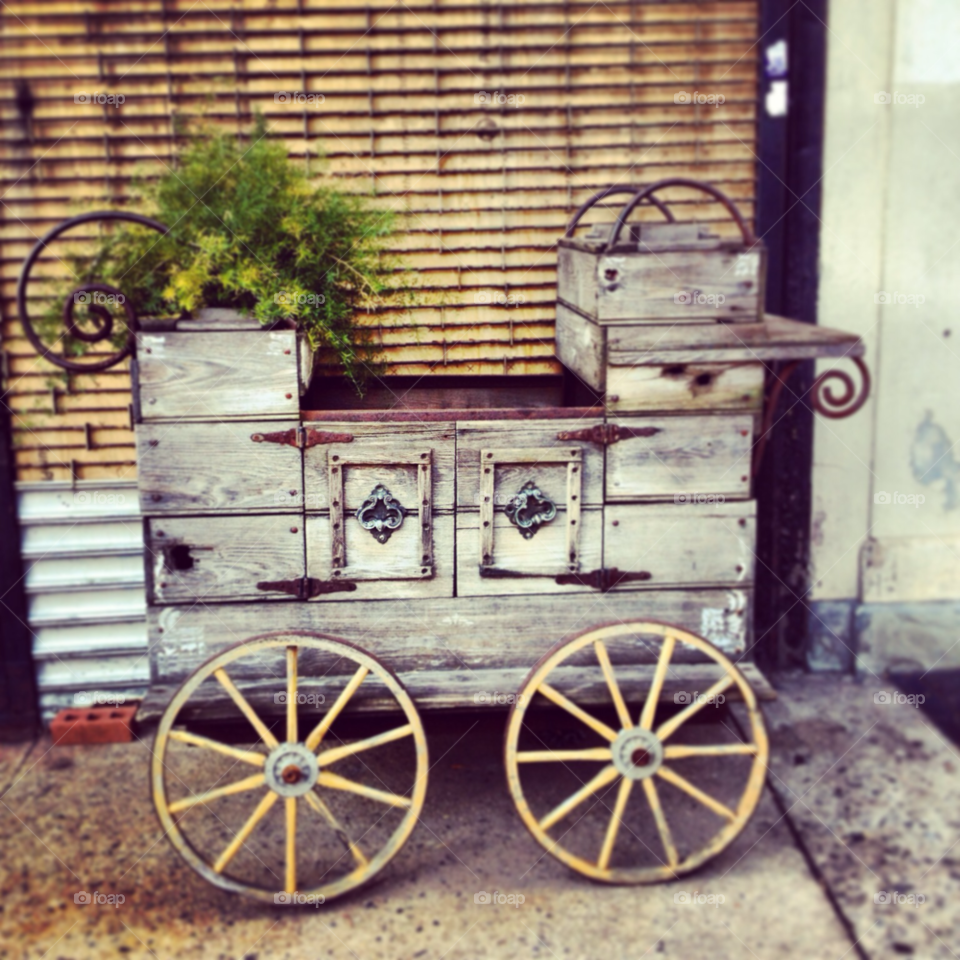 hoops green plant wild west old carriage by michaella