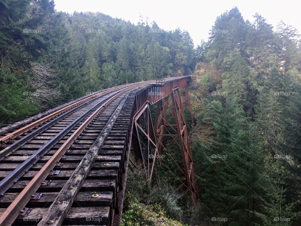 Goldstream trestle number 2. Vancouver Island, British Columbia, Canada. 