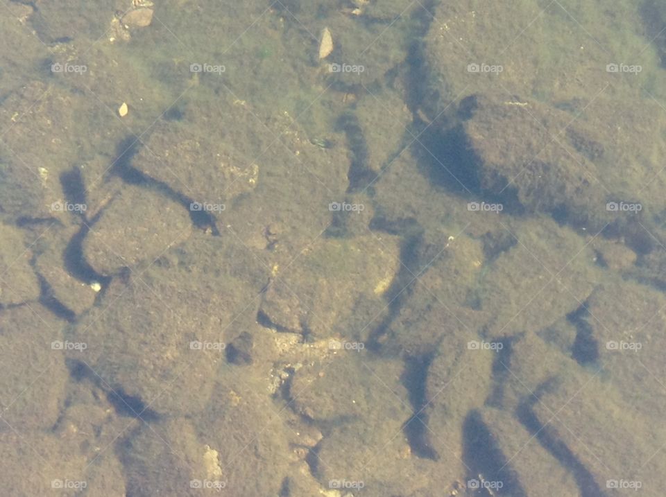 Rocks at the bottom of the lake