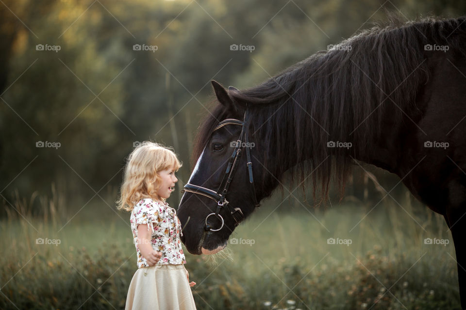Little girl with shire horse at summer evening 