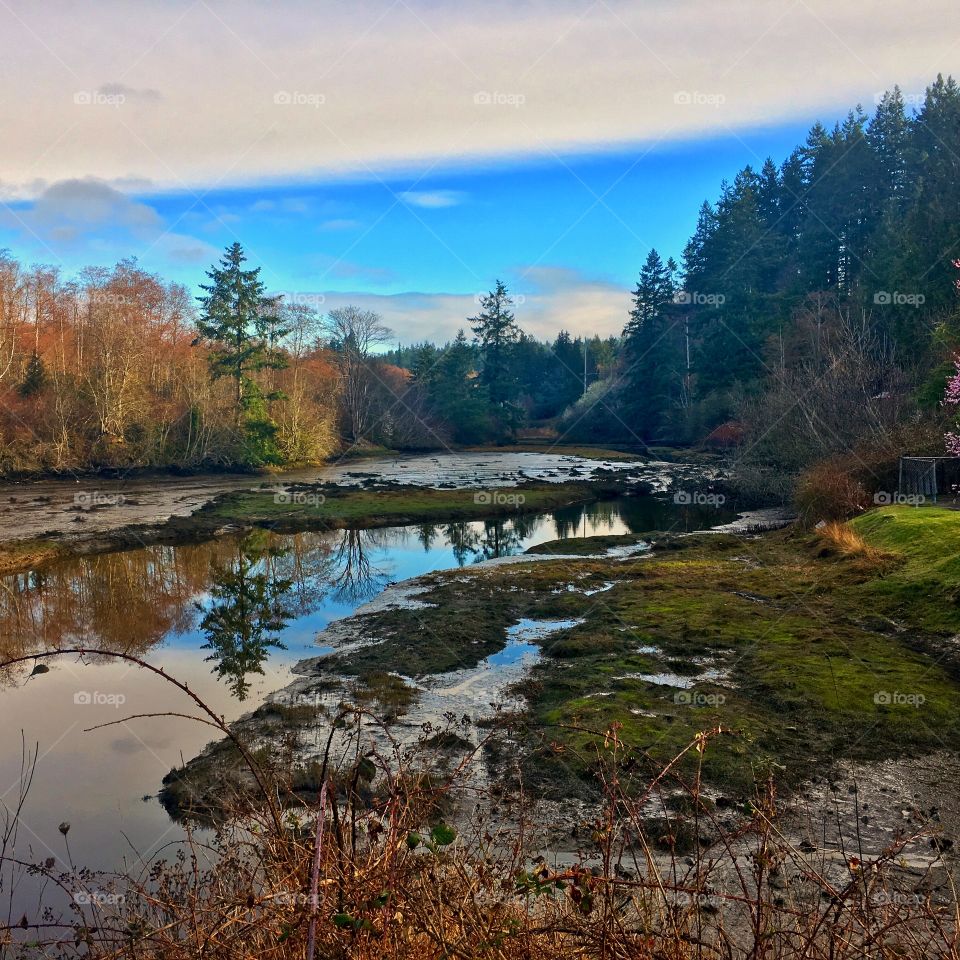 Dogfish Creek, Poulsbo, WA