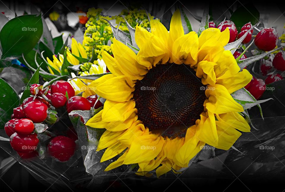 Sunflower bouquet . Sunflower bouquet 