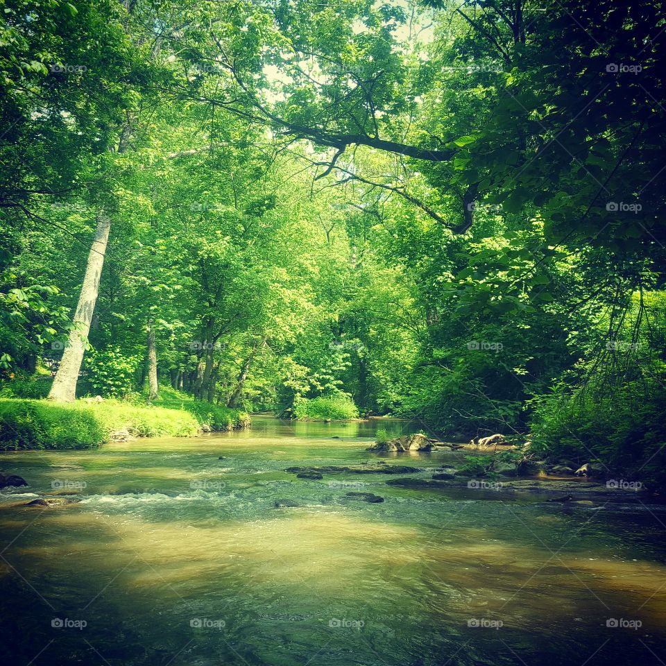 Antietam Creek