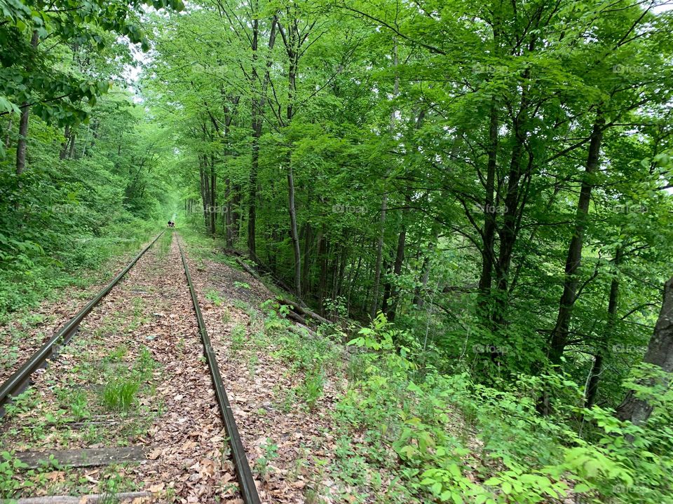 Rail Explorers Rail Biking 2024