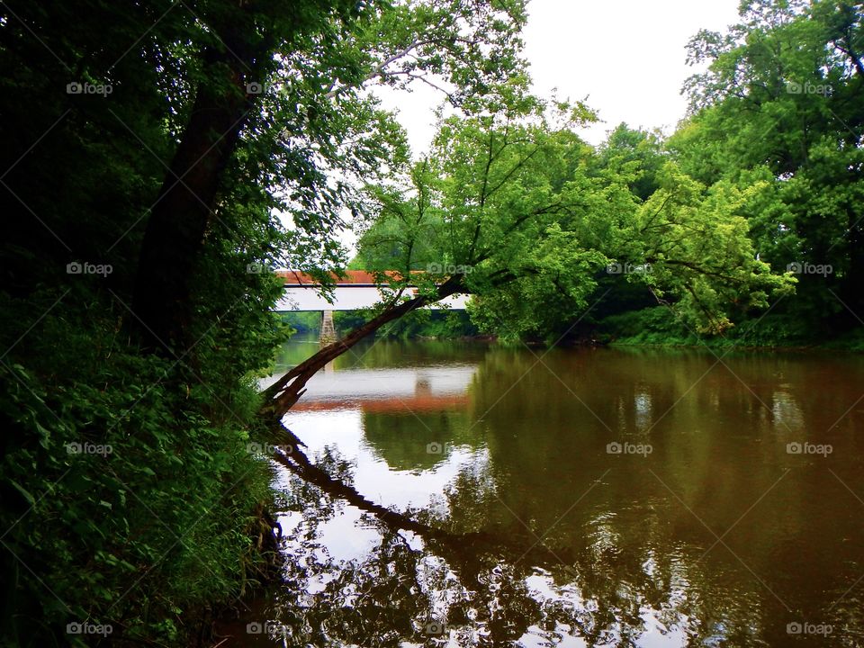Indiana Covered Bridge on a summer day 