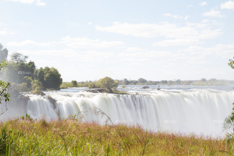 No edit image of Victoria waterfall and grass with tree on waterfall edge