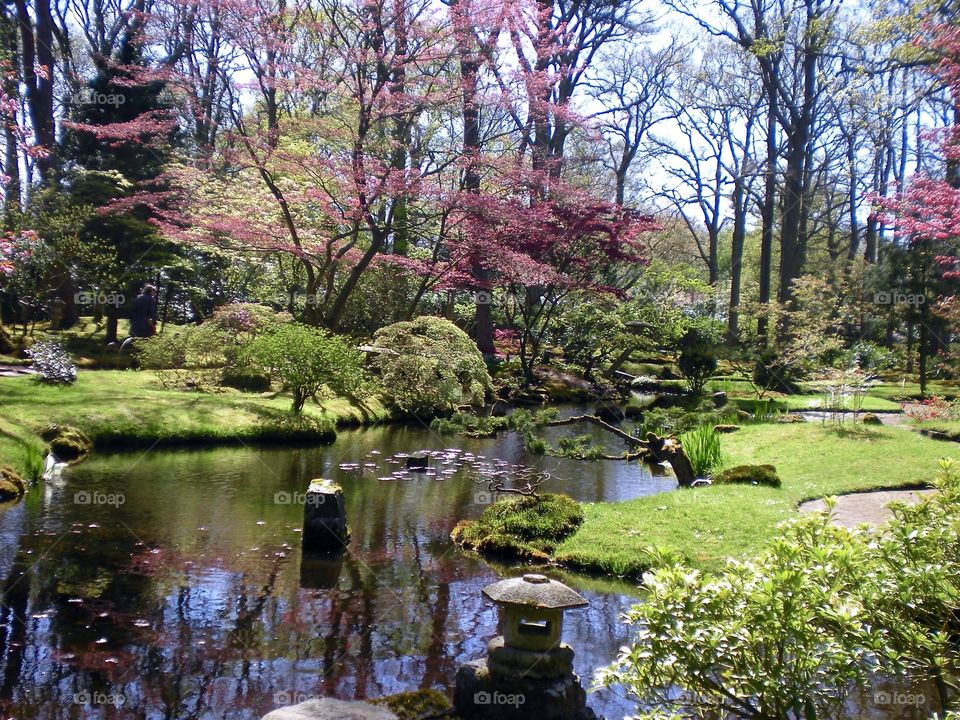 Japanese garden Den Haag
