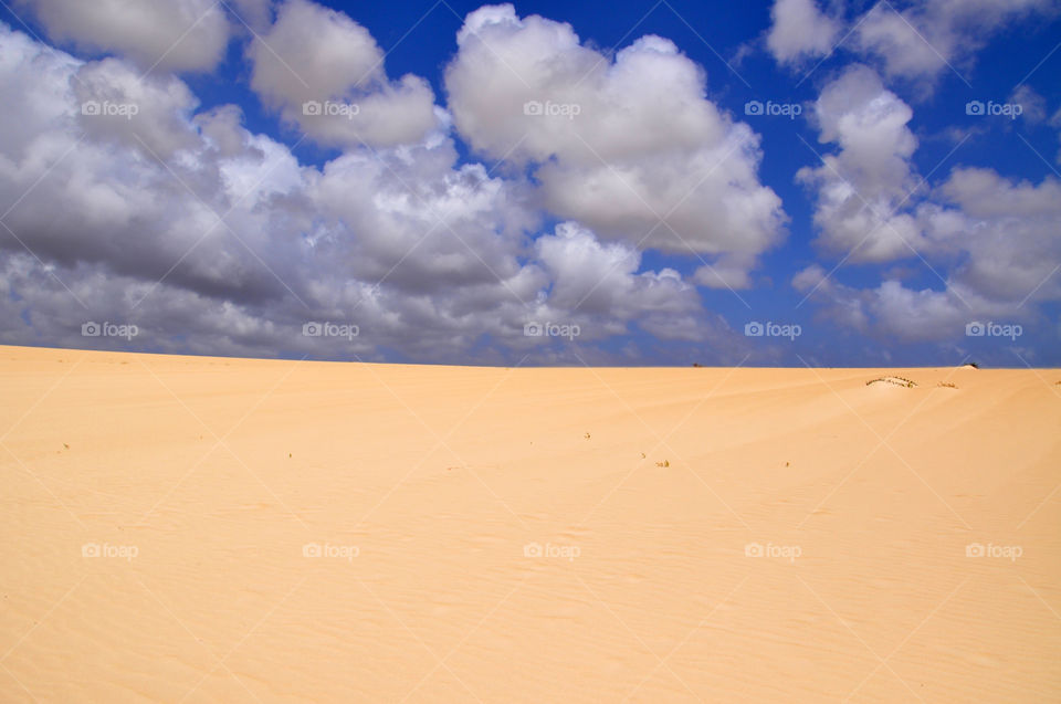 Sand dunes of Corralejo 