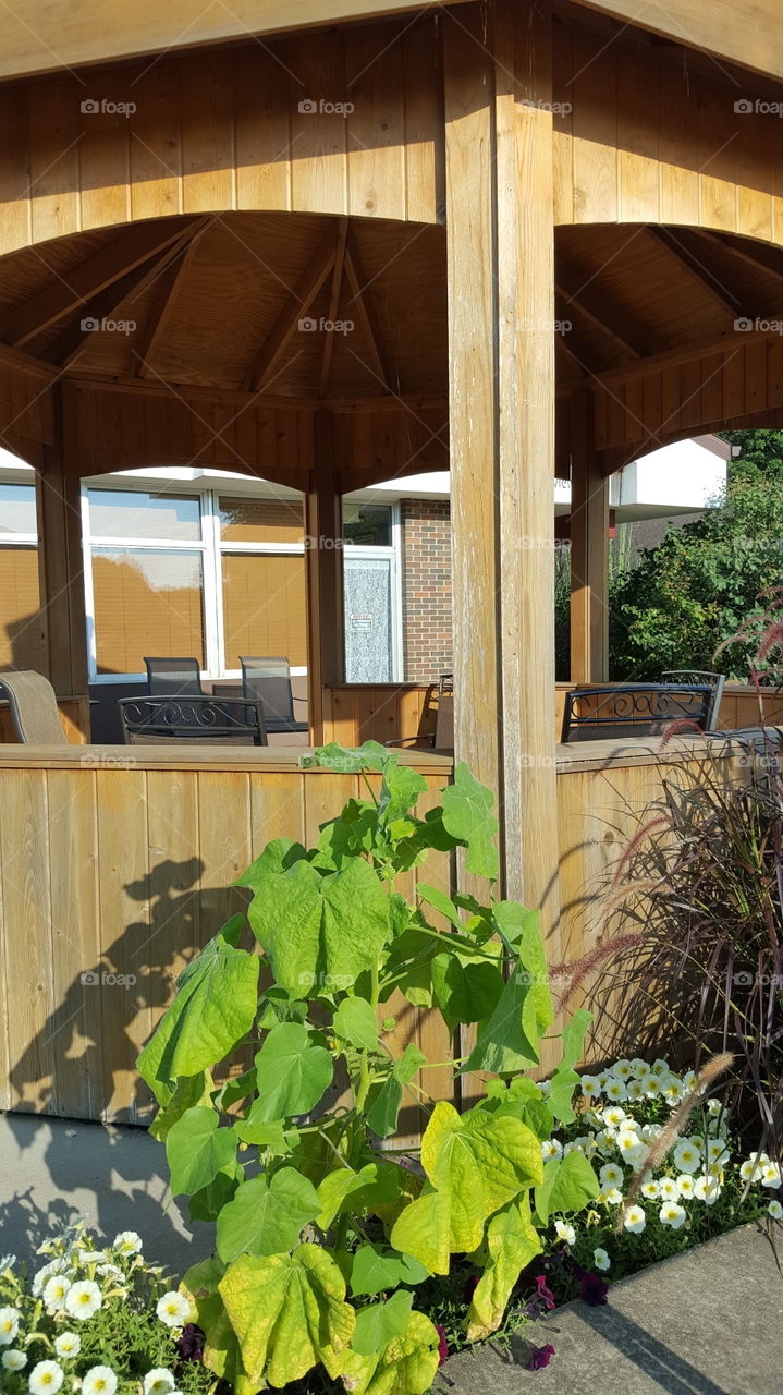 gazebo