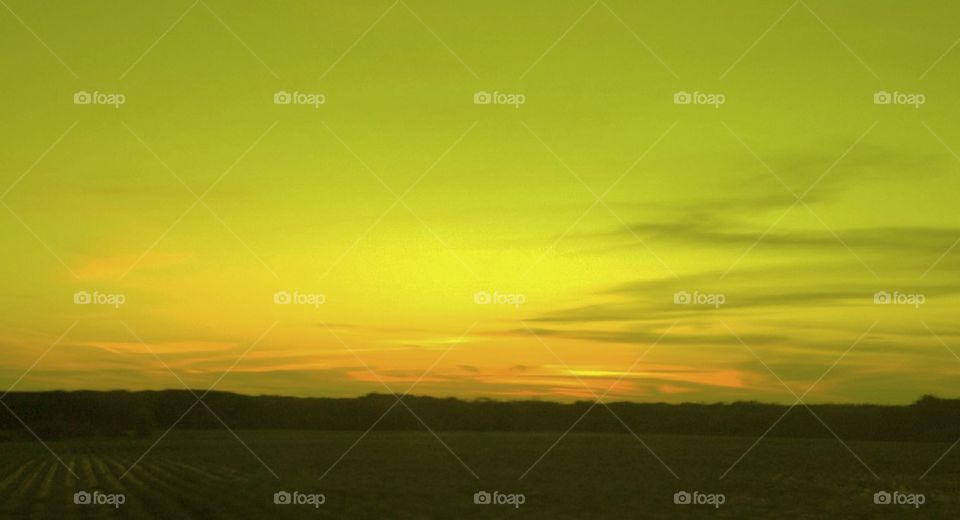 Sunset field  