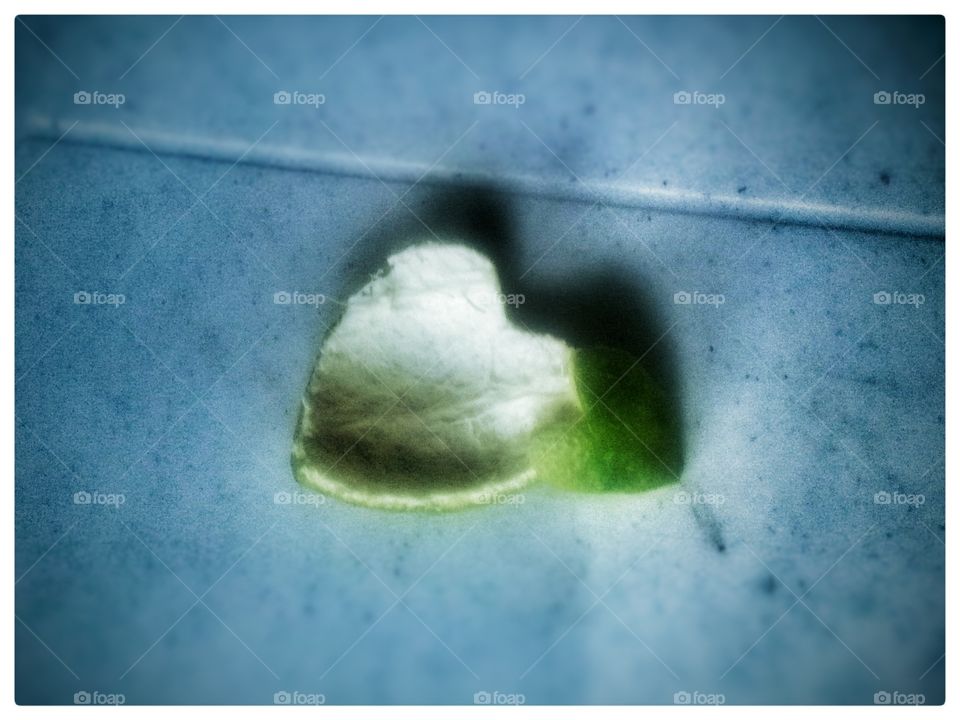 orange heart. heart made in orange