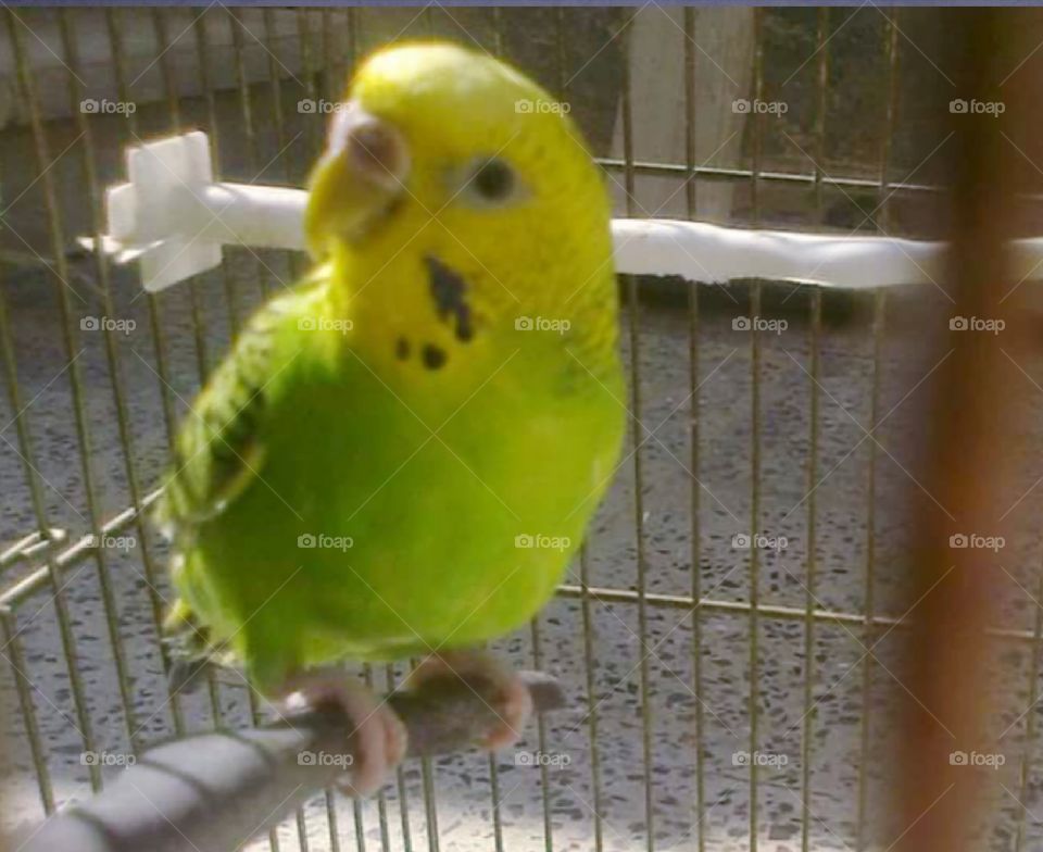 dodo my life 😍💋🌡🌡