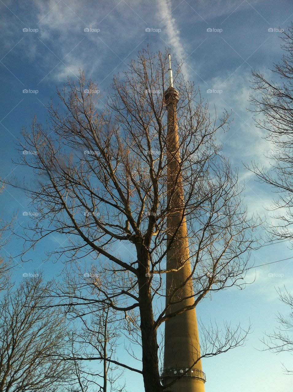 Emely moor mast