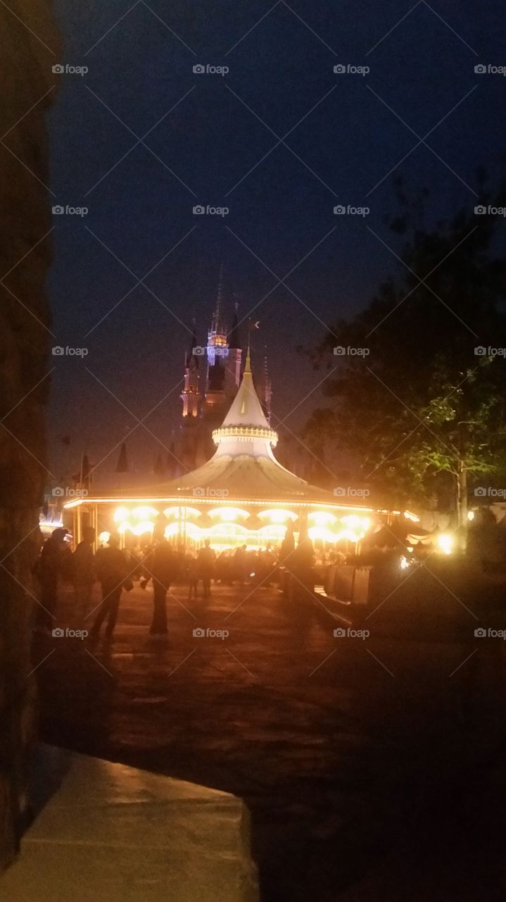 fantasyland Walt Disney world carousel