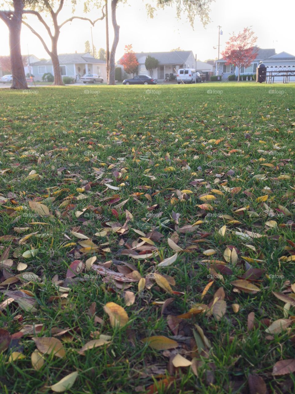 More Grass

Published by:
HappyBrownMonkey 