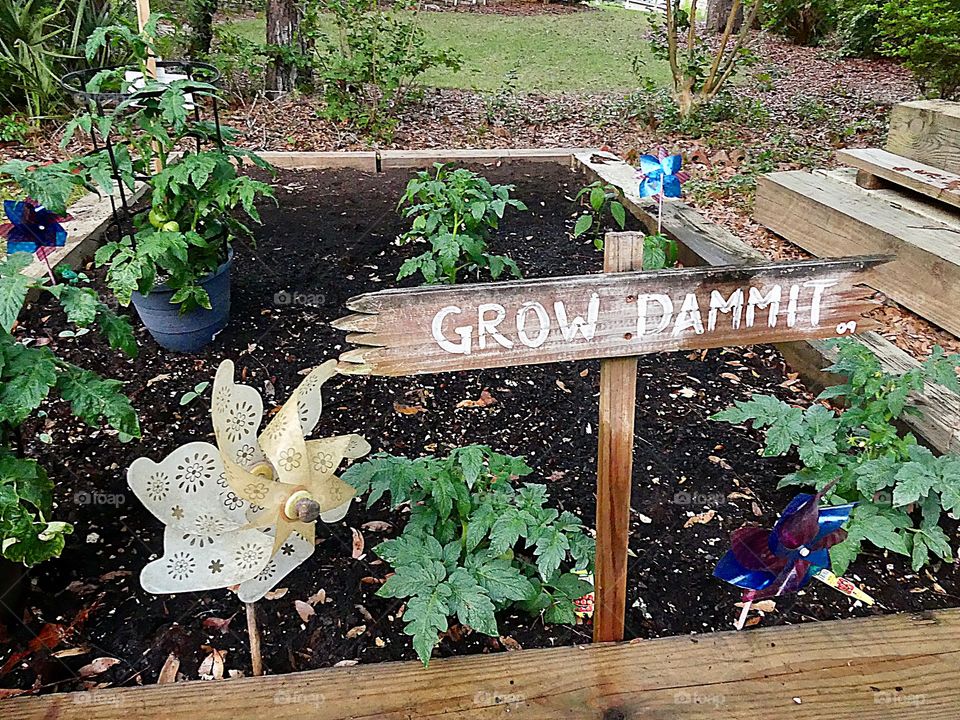 Grow Dammit is a visual sign posted in front of my vegetable garden for encouragement 