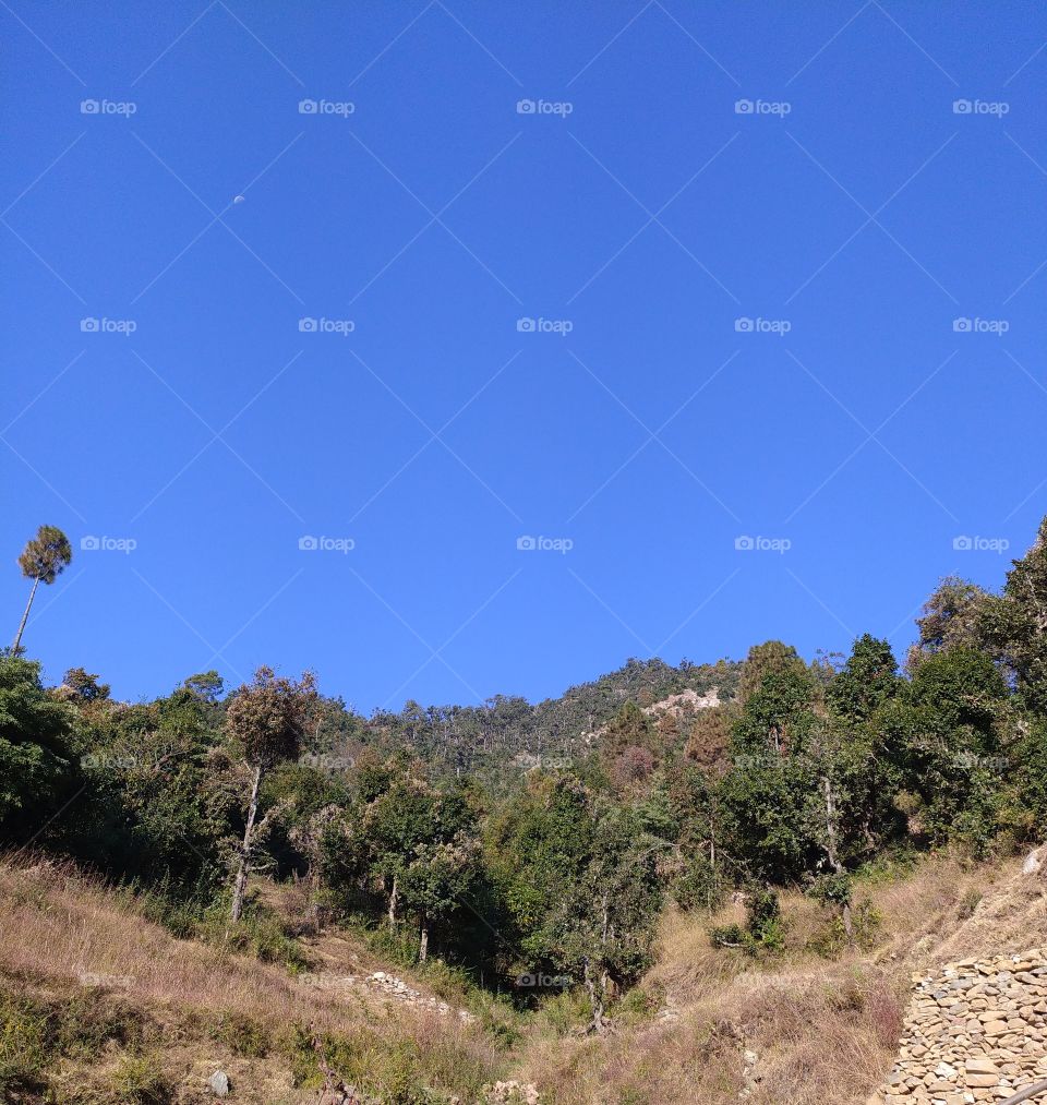 Wonderful scenery en route to Gangotri in the great Himalayan region