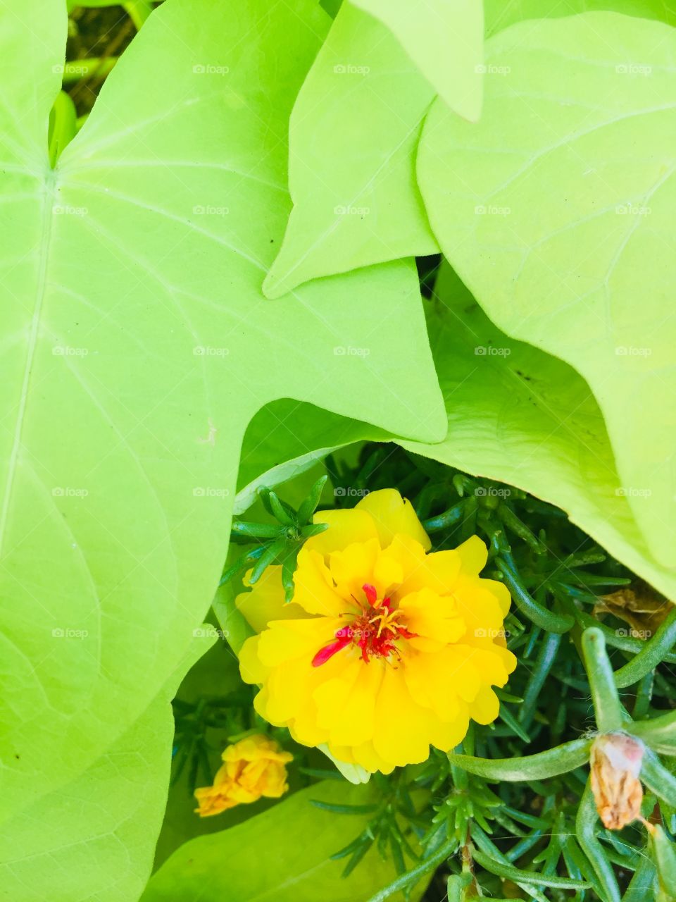 Surrounded by nature 