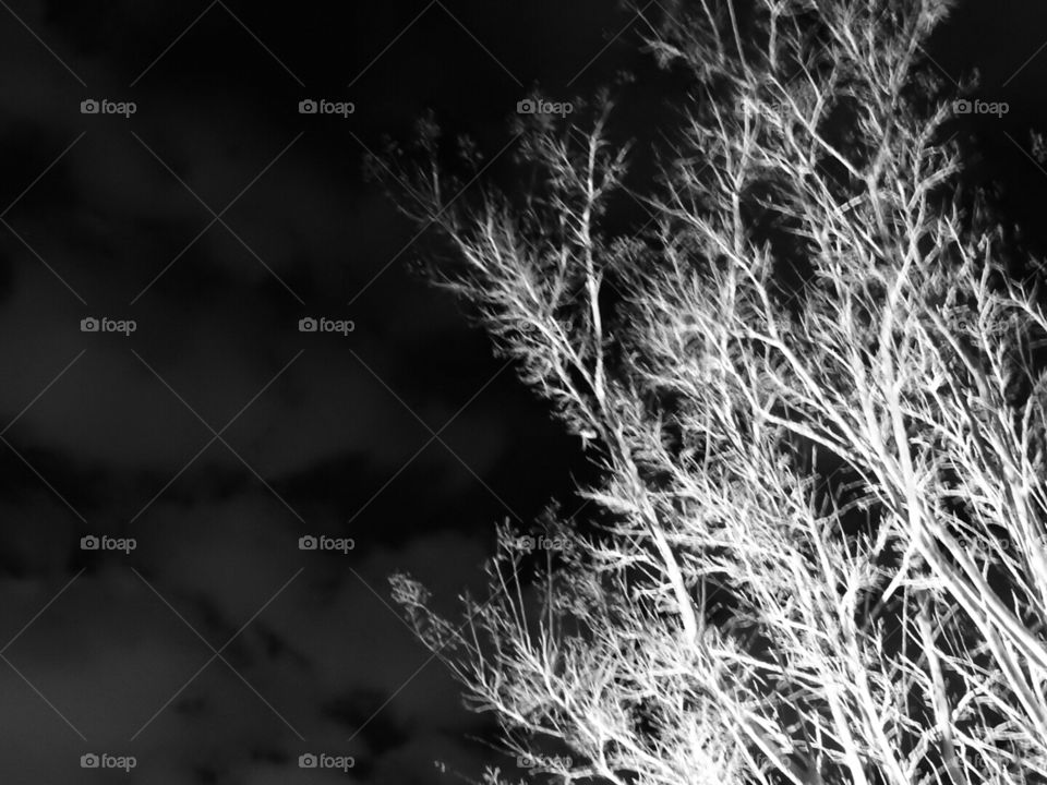 Lighting up the darkness.