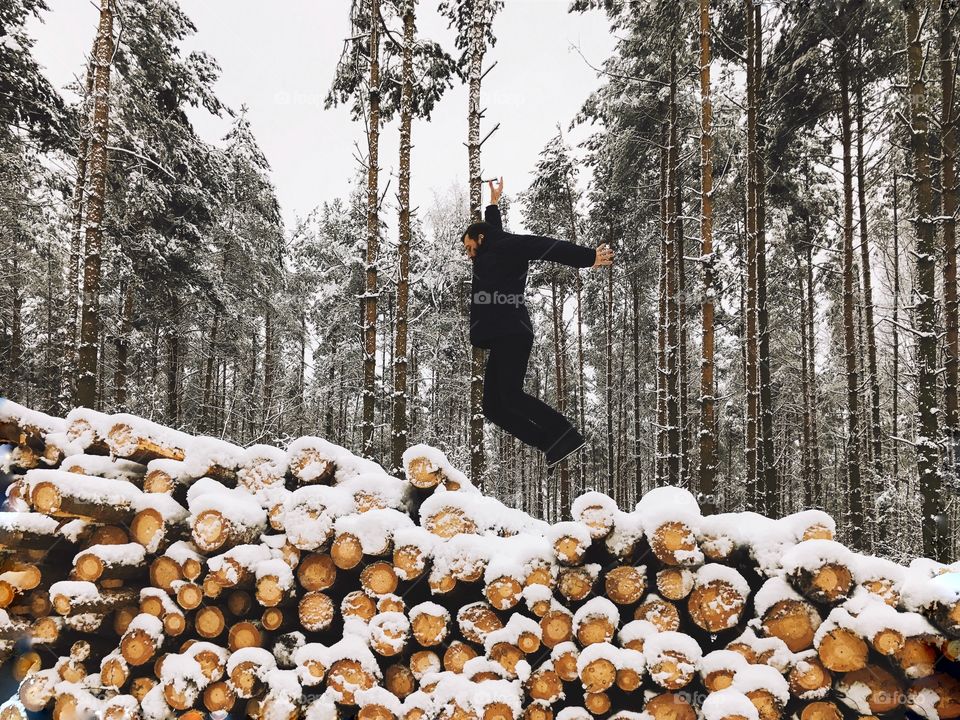 Winter, Wood, Tree, Snow, Season