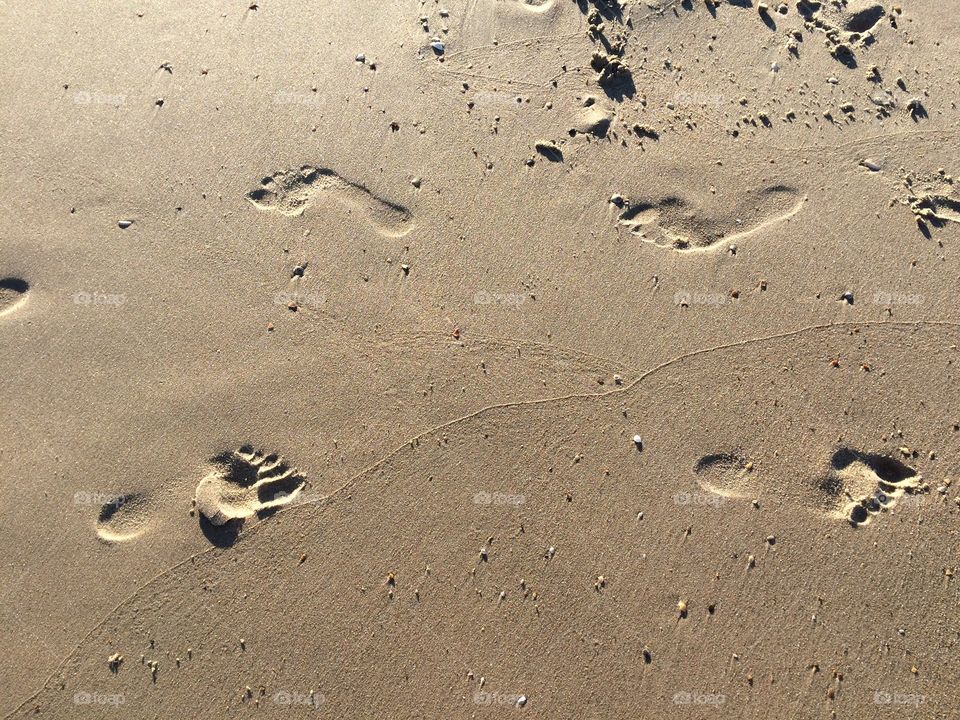 Sand on a beach