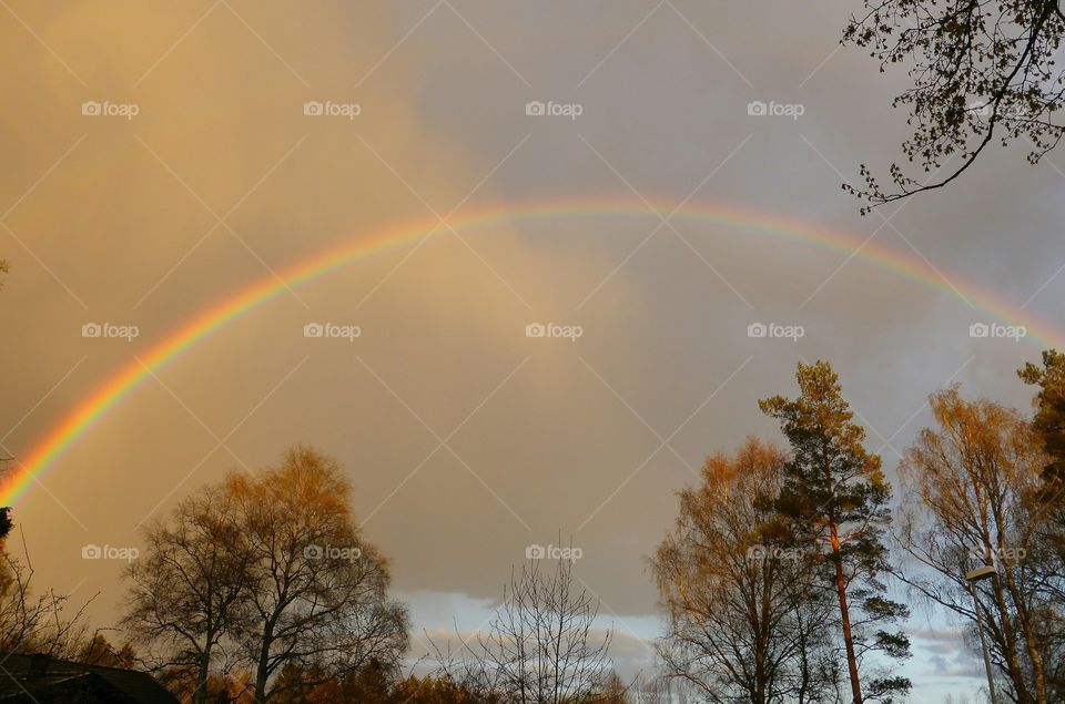 whole rainbow. whole rainbow