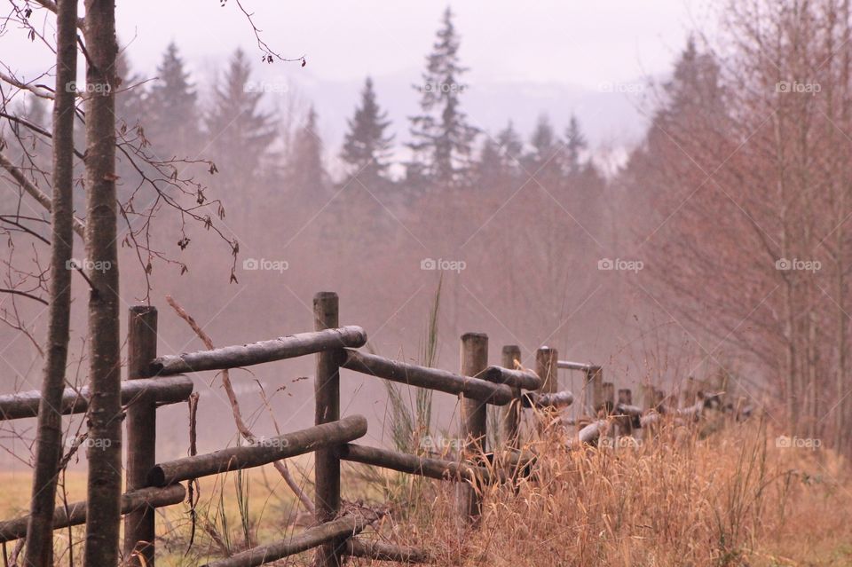 A colour shot in of a wooden farm fence line in warm tones of brown. There are long grasses,shrubs and small trees in the foreground, a misty field behind and tall fir trees and a faint outline of the mountains in the background.
