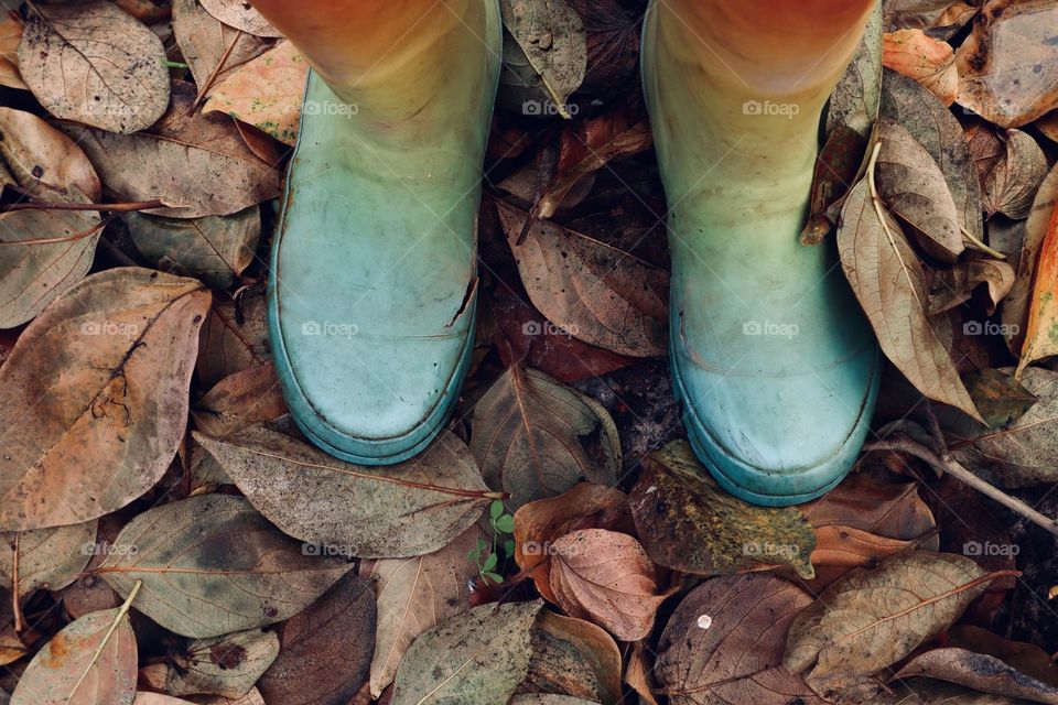 Fall leaves and boots
