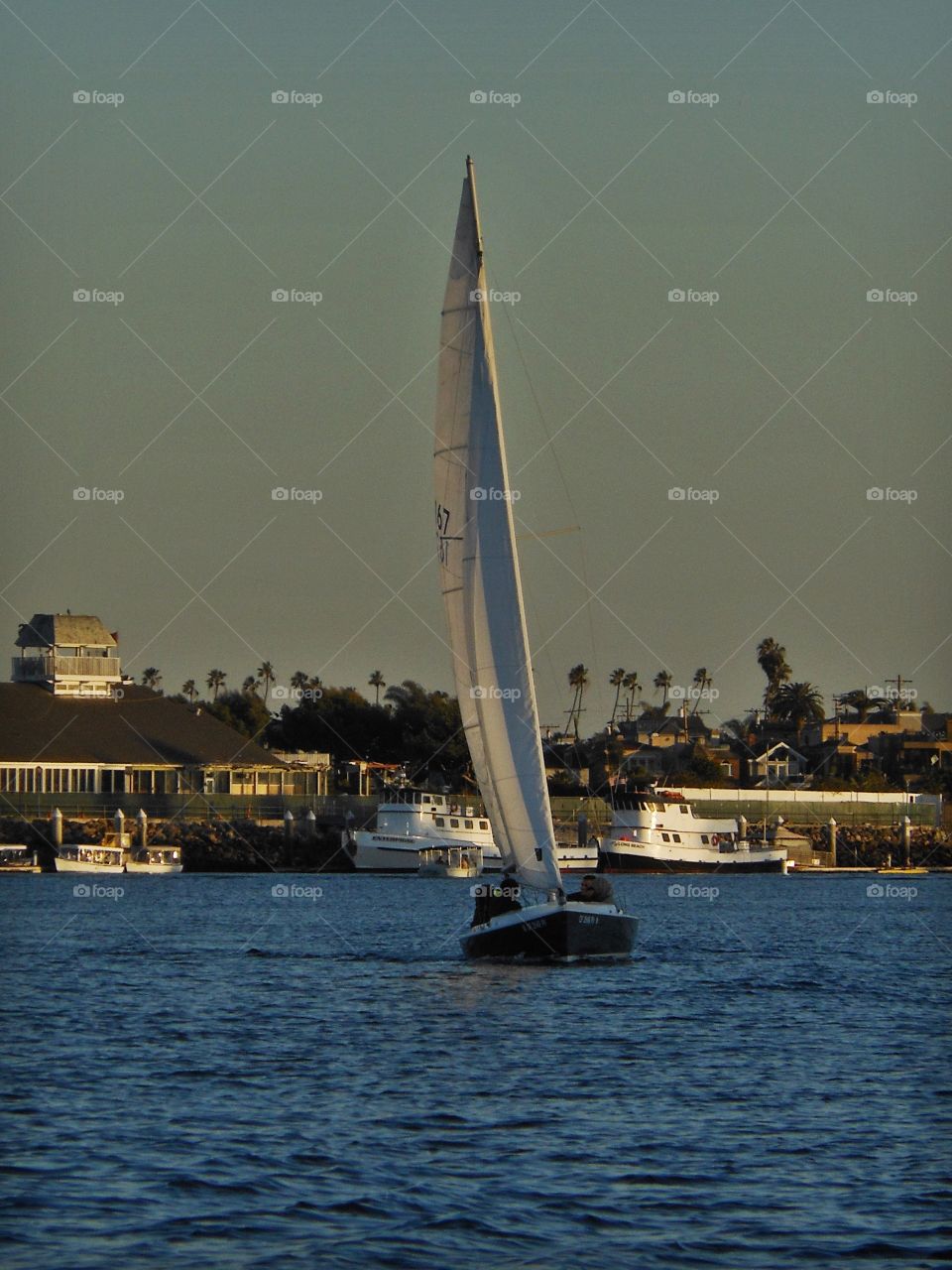 Sailing in Long Beach, CA