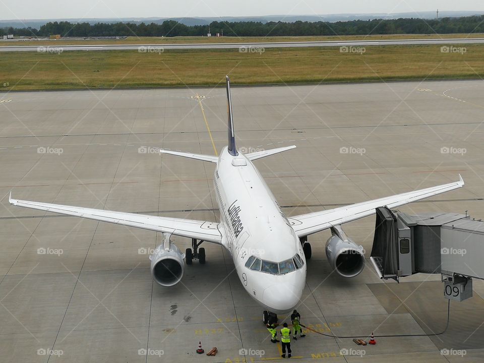 Lufthansa plane at Dresden Airport