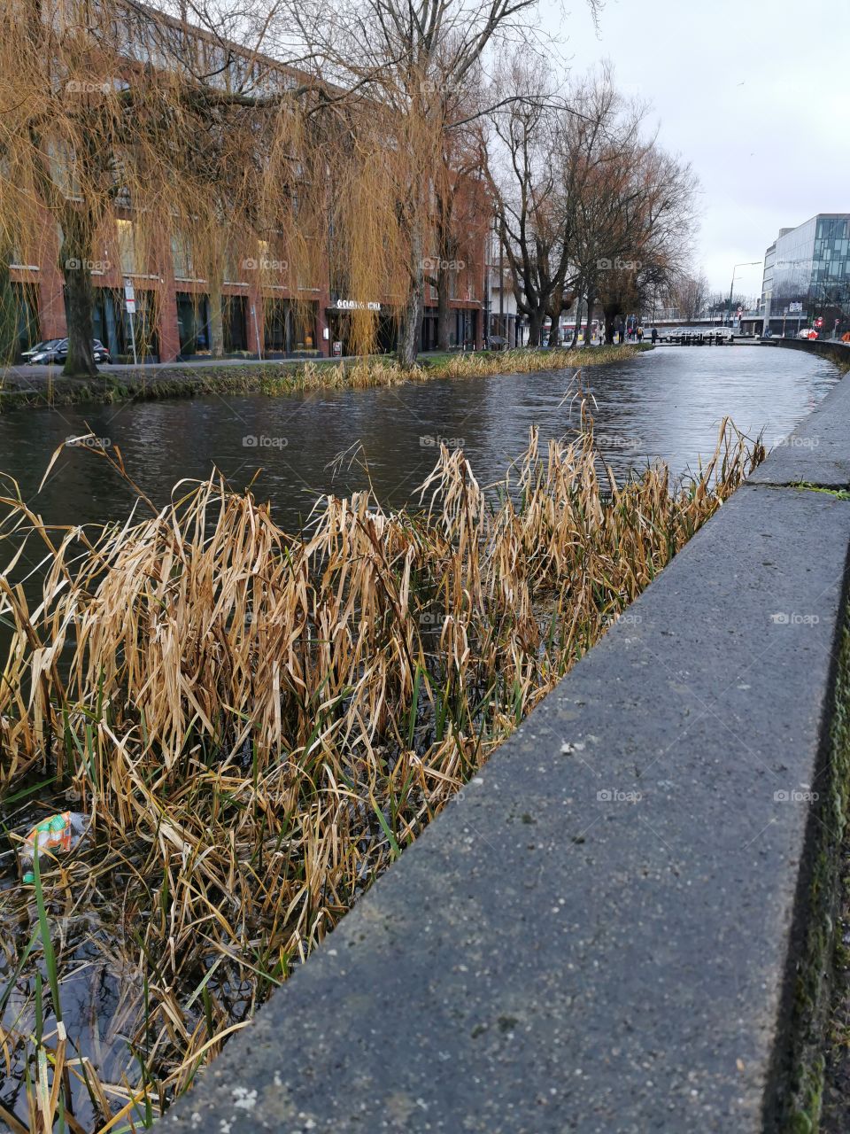 Walk along the canal