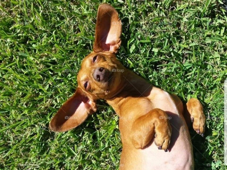 Jolie happy it's sunny