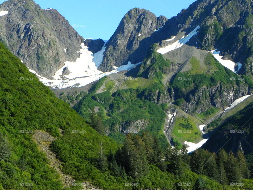 Snow, trees and mountains in Alaska 