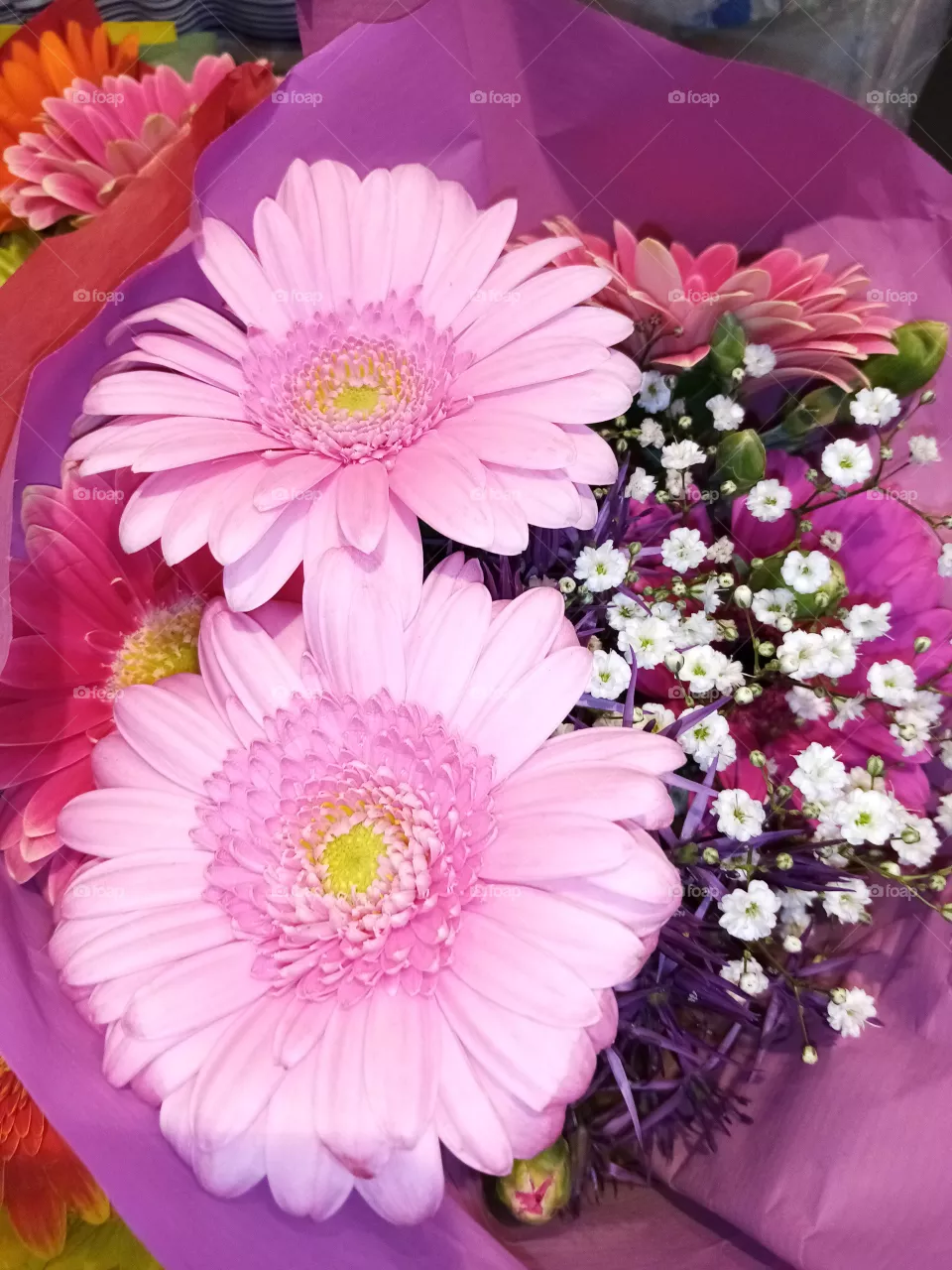 Blumen