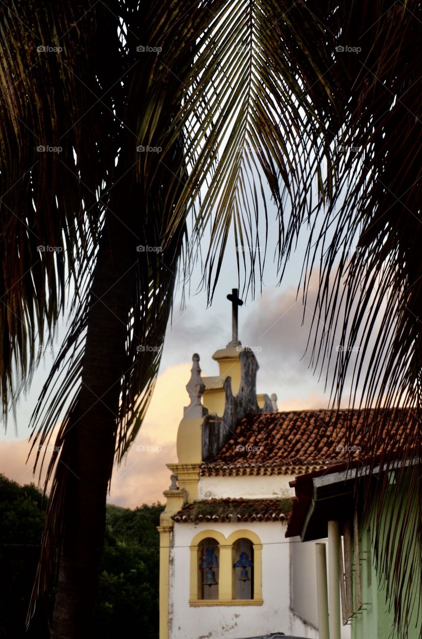 Top of the church behind a palm tree at sunset 