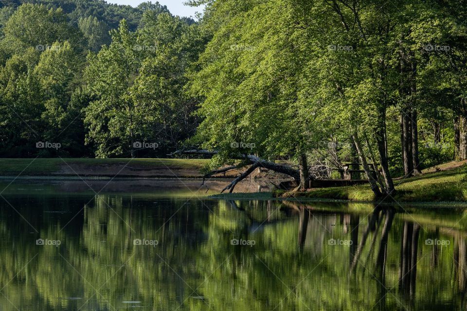 Foap, Cities and Countrysides: Down by the pond. Grundy Lakes Park of South Cumberland State Park system. Tracy City, Tennessee. 