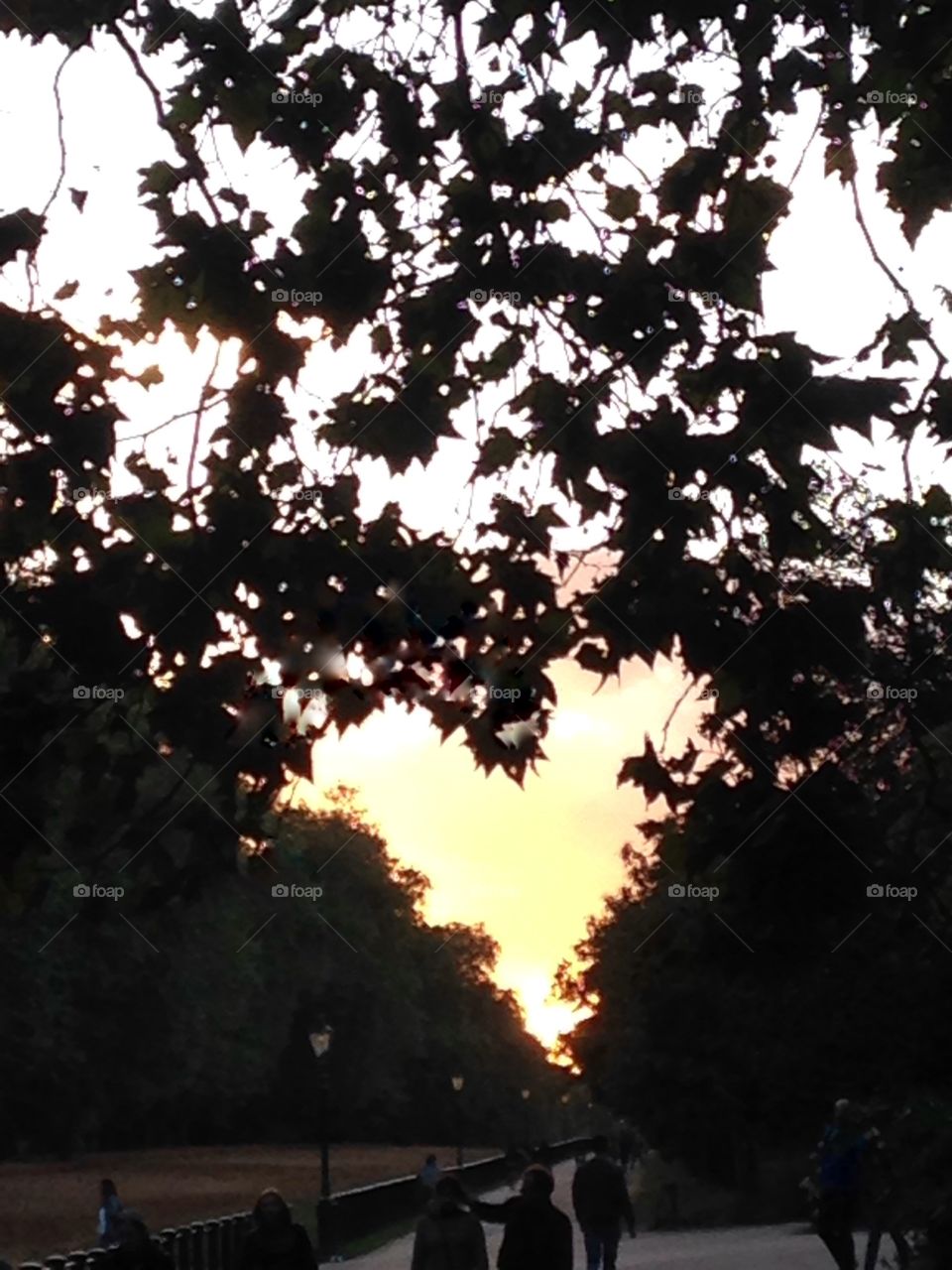 Hyde park corner walk at sunset