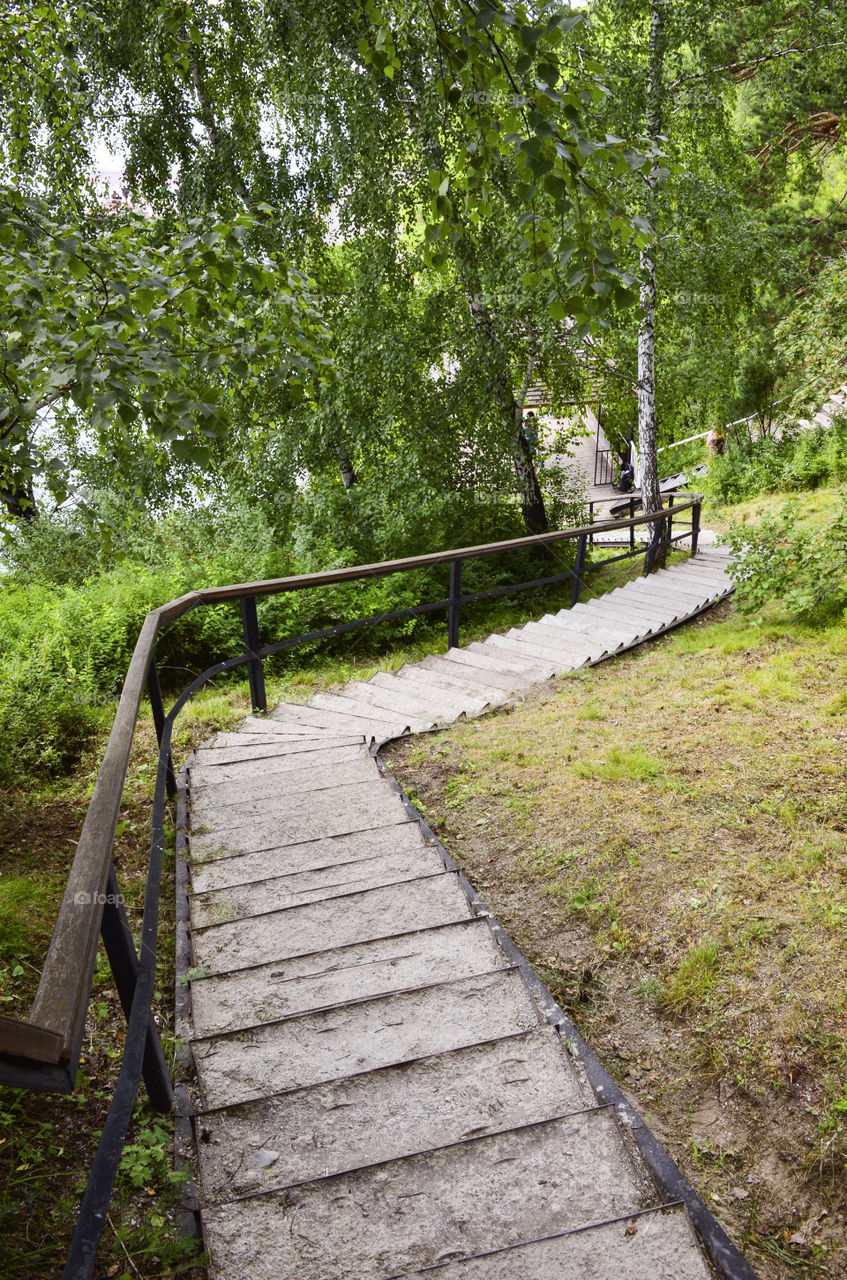 stairs in the park Russia