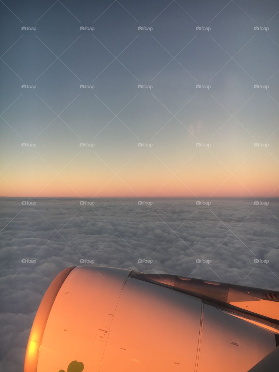 View from the window