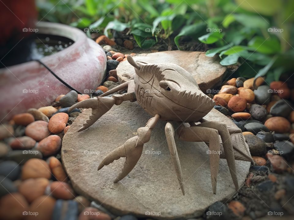 Crab. Crab in office garden