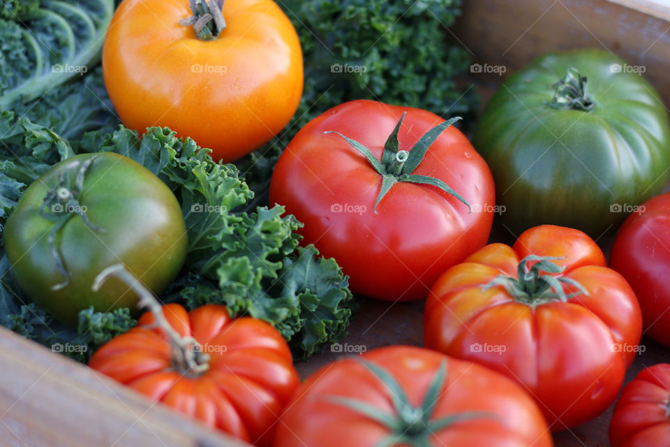 Overhead view of tomatoes and lettuce