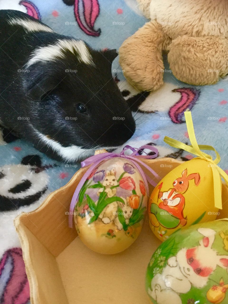Timmy loves the colorful Easter eggs 