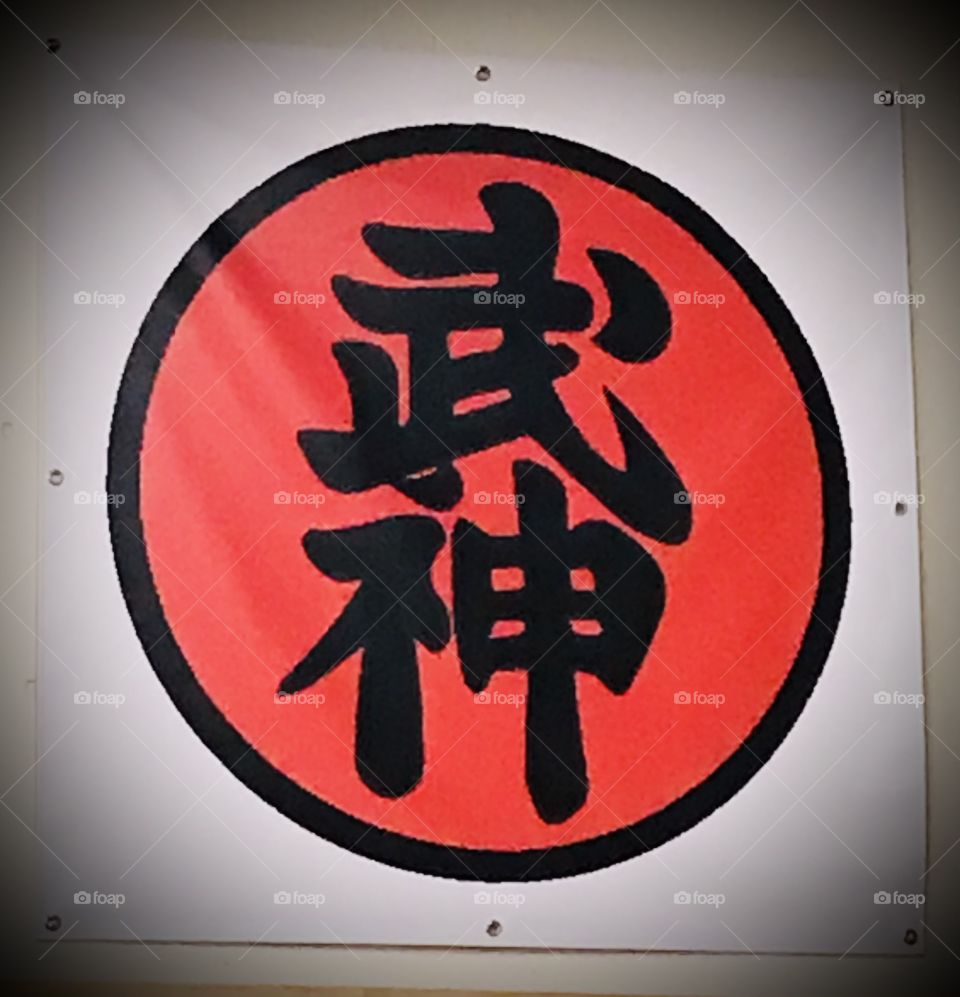 Bujinkan logo symbolizing an immense Japanese martial arts organization founded by Hatsumi Soke. This simple design hangs inside one of the official dojo.