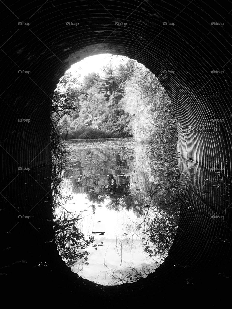 Reflections through a dark watery tunnel.