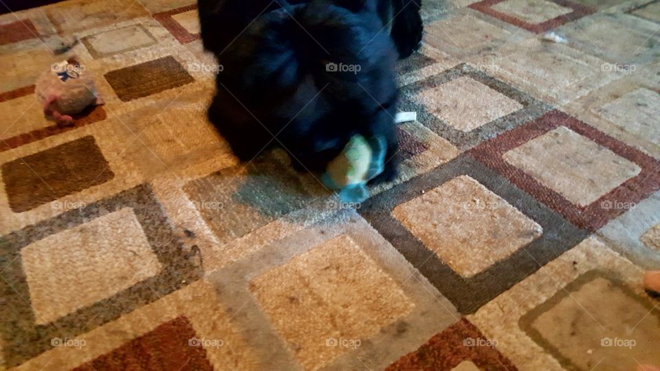 Desktop, No Person, Pattern, Architecture, Texture